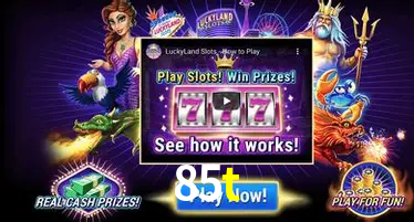 Seasonal Promotions 85t