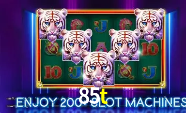 Flash Promotion 85t